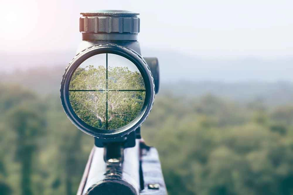 A941 Day Vision Sight